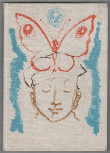 Ragazzo con farfalla - il,