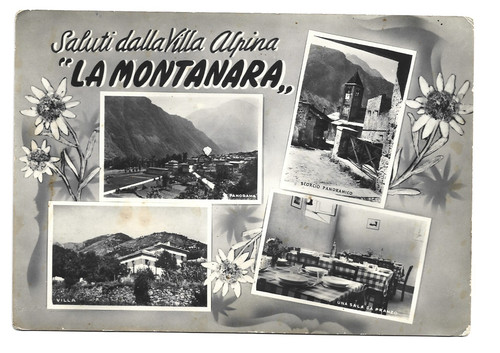 Saluti dalla villa - dalla, alpina