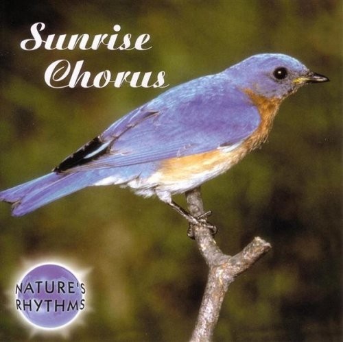 Nature rhythms s - nature's,