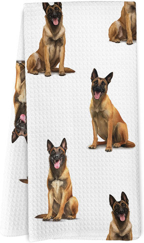 Belga malinois regali - malinois,