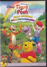 I MIEI AMICI TIGRO E POOH