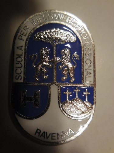Distintivo scuola infermieri - distintivo,