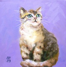 Quadro olio gatto originale
