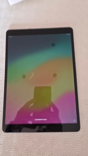 Ipad pro cellular smart - ipad,