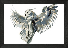 Gufo reale. Bubo bubo poster