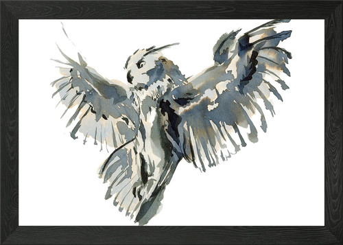 Gufo reale bubo poster - gufo, reale.