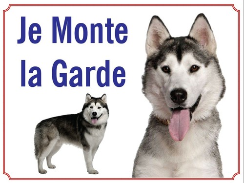 Attention chien je monte - chien,,