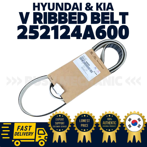 Cinghia coste originale - a, oem