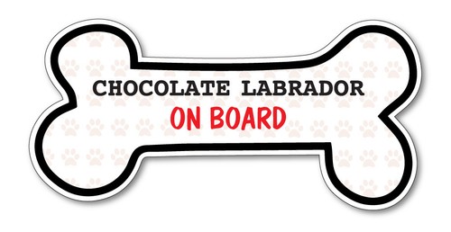 Funny dog bone chocolate - funny, bone-