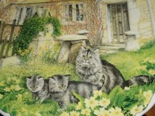 Royal Albert Collectors Plate