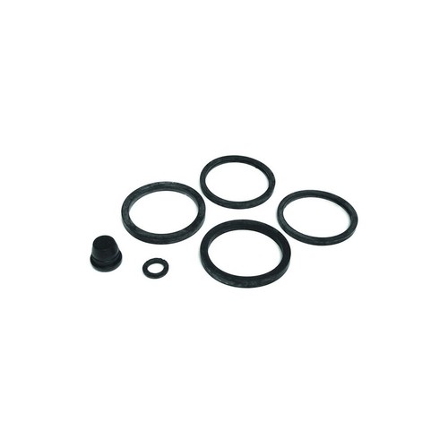 Revisione pinza freno - pinza,