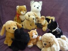 Giocattoli morbidi husky