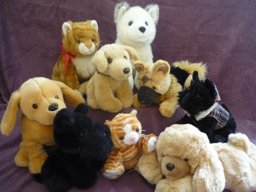 Soft toys husky alsaziano - toys,