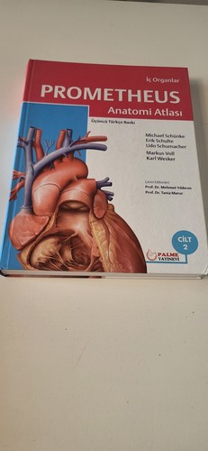 Lehrbuch anatomie atlas - lehrbuch,