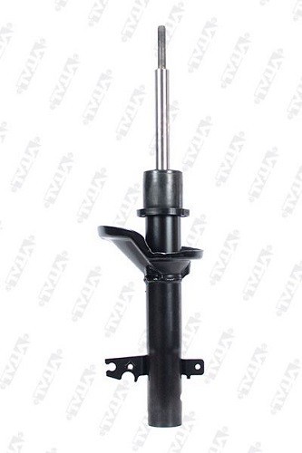 Ammortizzatori ant rover 25 - ammortizzatori,
