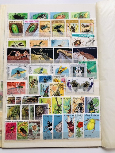 Collezione insetti pagine - su,