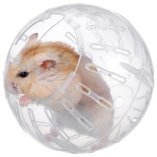  Palla trasparente per criceti