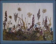 antico quadro teca bella