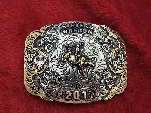 Bull riding rodeo - rodeo, champion