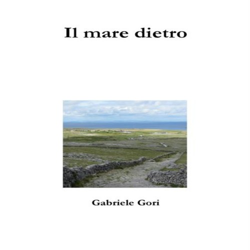 Mare dietro gabriele gori - il,