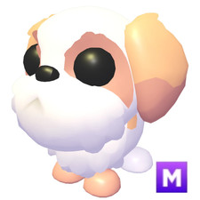 MEGA SHIH TZU - Il negozio di fiducia!!