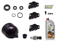 O-ring Riparazione Selespeed
