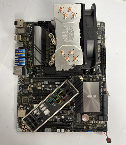 Scheda madre asus - scheda,