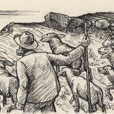 Heinrich Ilgenfritz disegno