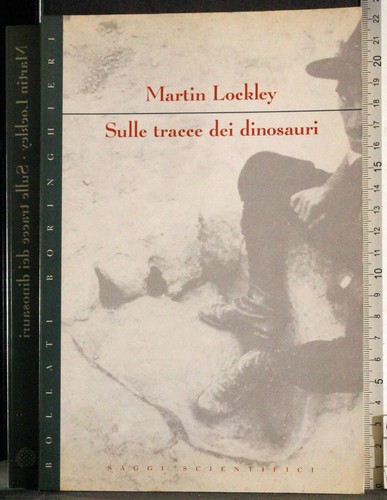 Sulle tracce dei dinosauri - tracce,
