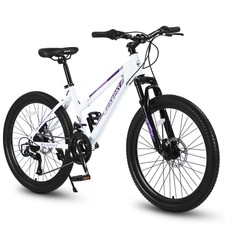 24 in Mountain Bike for