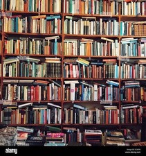 Lotto blocco stock di 50 libri
