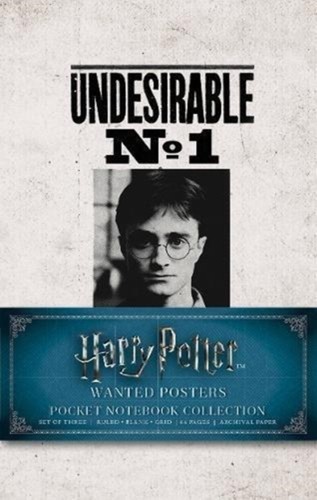 Harry potter wanted posters - harry, potter: