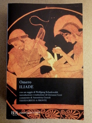 Iliade omero testo greco - l'iliade,