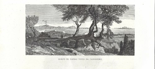Stampa antica napoli veduta - stampa,