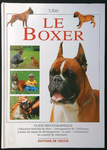 Boxer rossi valeria - rossi,