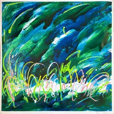 Mario SCHIFANO Orto botanico