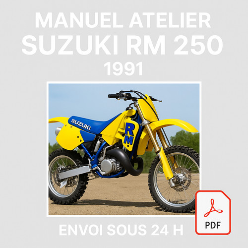Manuel atelier suzuki - suzuki, 250