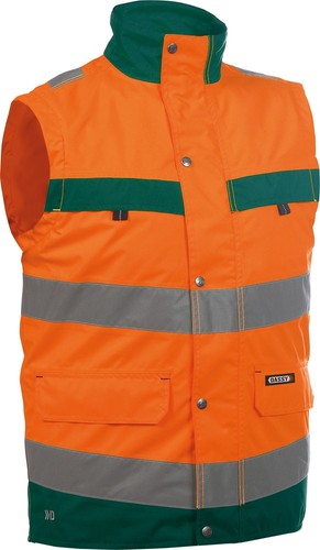 Gilet alta visibilità dassy - gilet,
