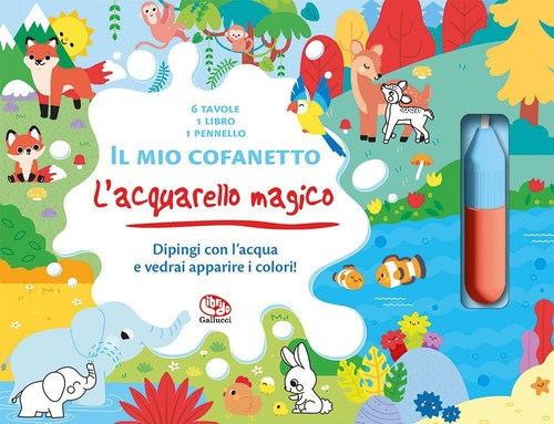 Libri clémentine derodit il - libri,
