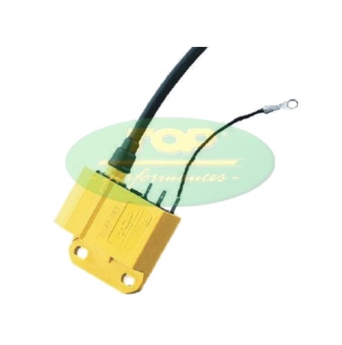 Centralina elettronica con