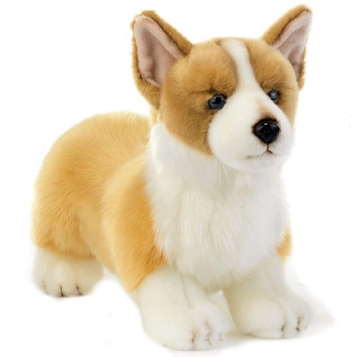 Peluche cane corgi plush - peluche,