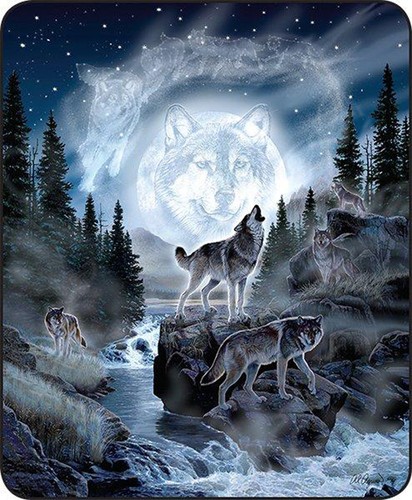 Coperta letto moon wolf pack - letto,