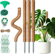 4 Pezzi Bastone Tutore per