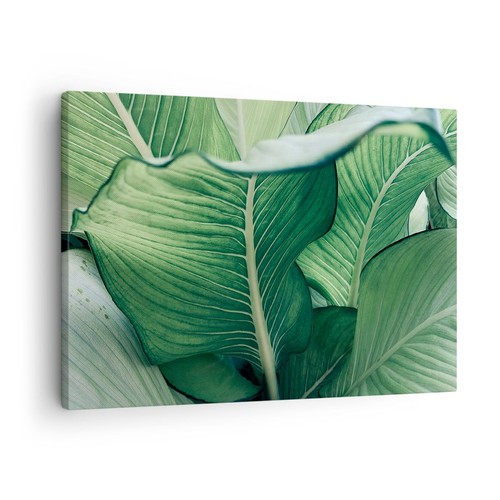 Quadro tela 70x50cm foglie - quadro, su