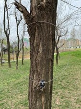 NE592 Antenna attiva piccolo