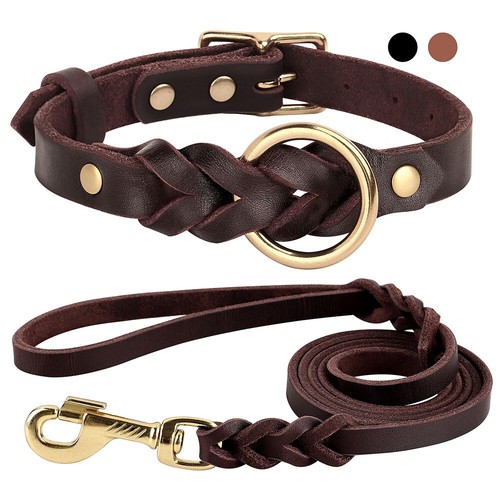 Set collare guinzaglio - collare,