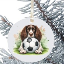 Springer spaniel cane - cane, da