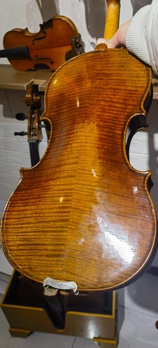 Violino europeo legno - violino,