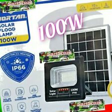 Faro Solare 100W con Pannello