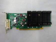 Nvidia Geforce 9300 GE (256 MB